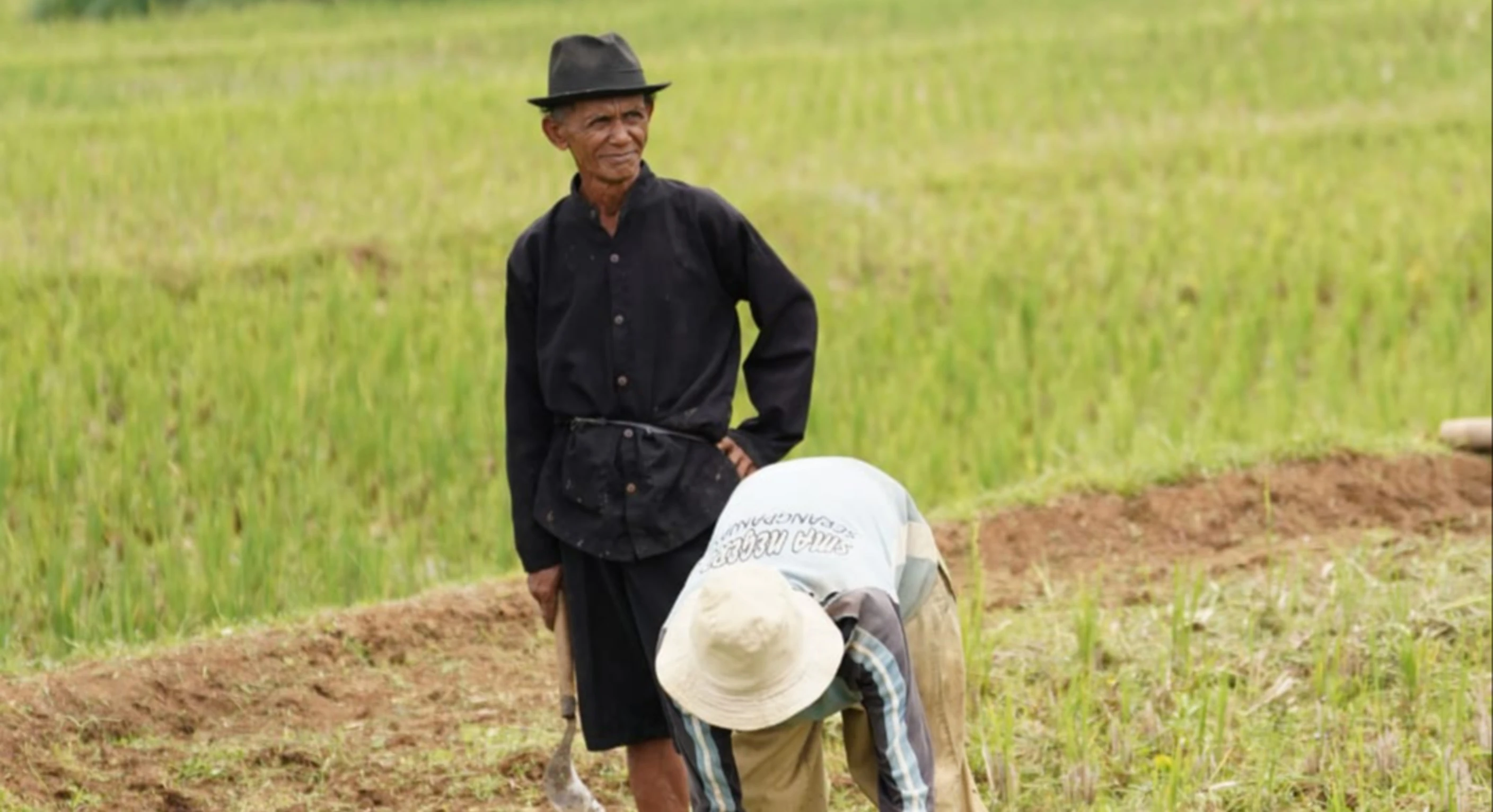 Petani Padi di Karawang Apresiasi Program Optimasi Lahan Dukung Swasembada Beras