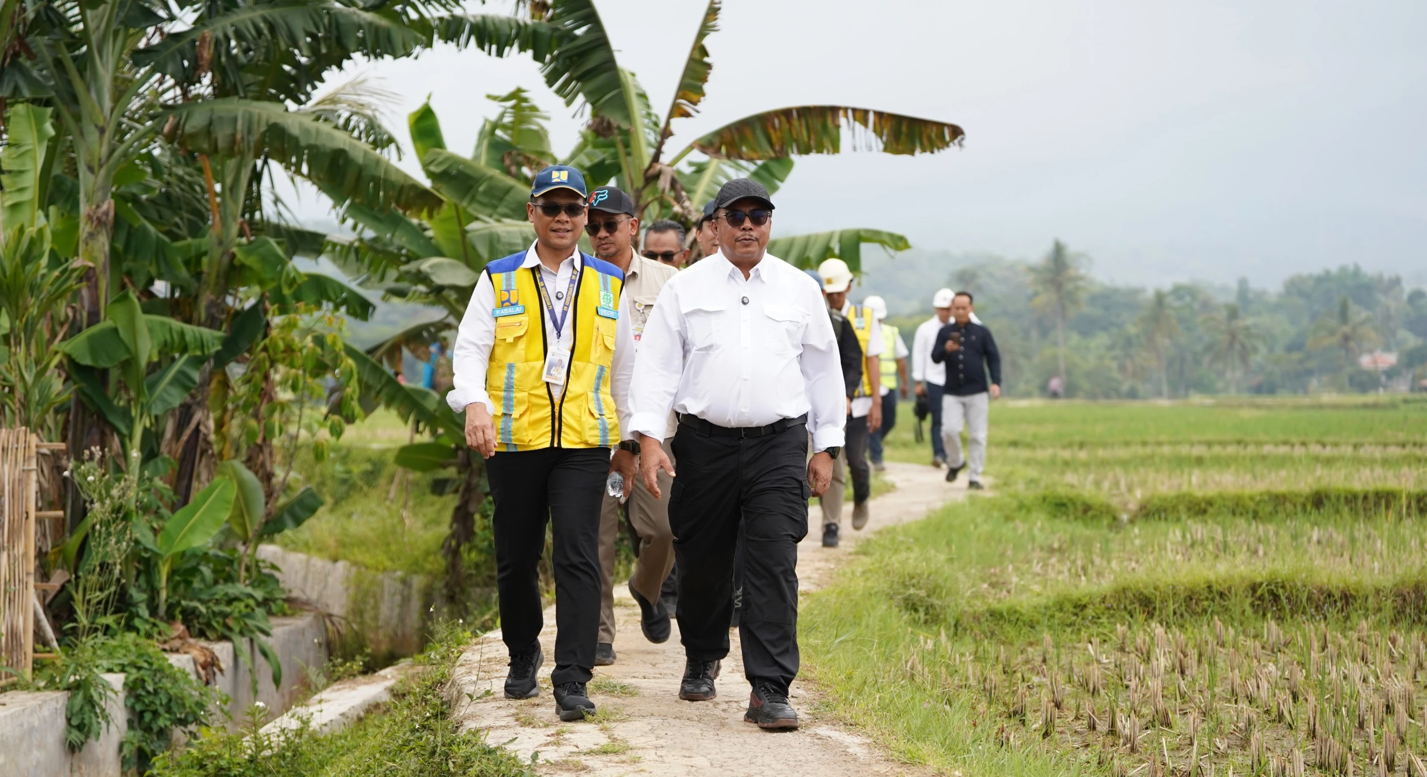 Panen Petani Meningkat dengan Optimasi Lahan, Swasembada Beras Jadi Kenyataan