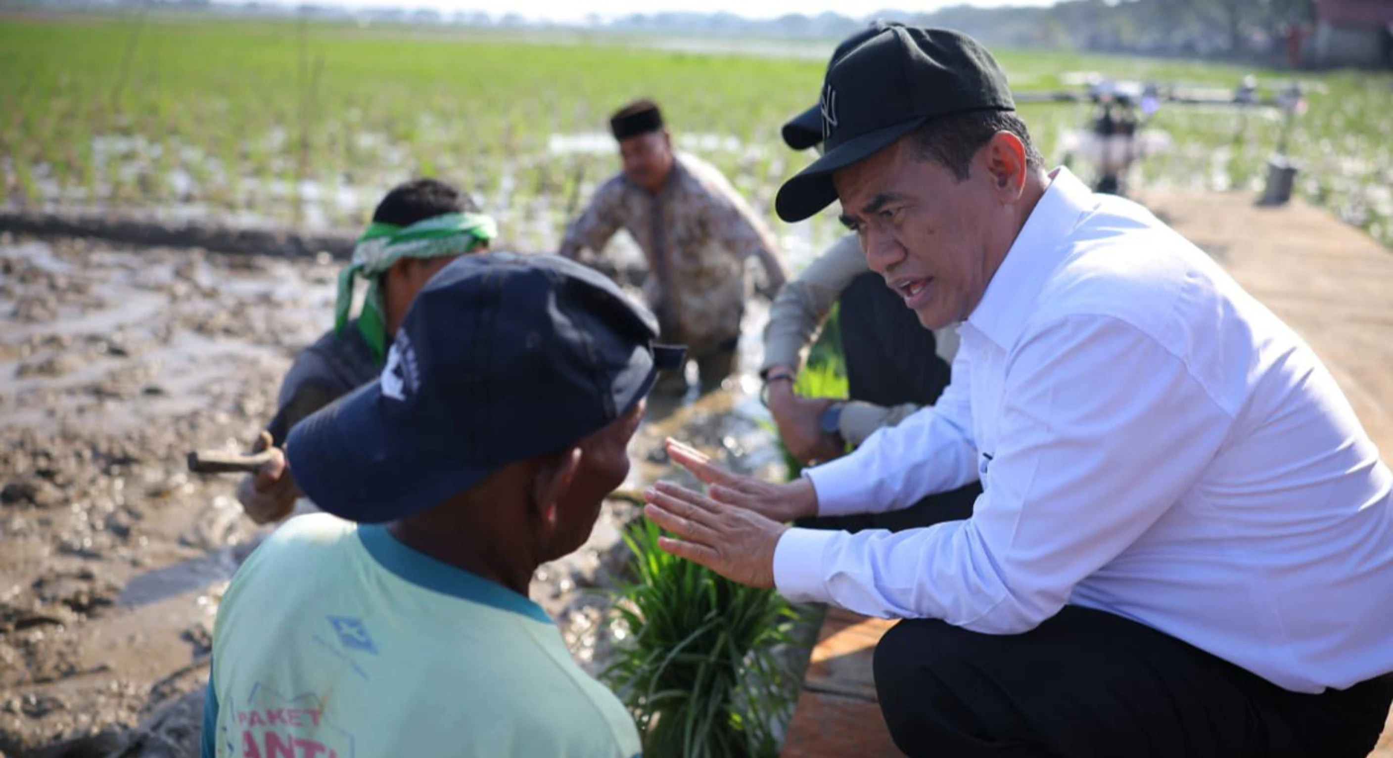 Rehabilitasi 98.000 Hektar Sawah Pascabencana di Sumatera, Mentan Amran: Ini Tanggung Jawab Negara